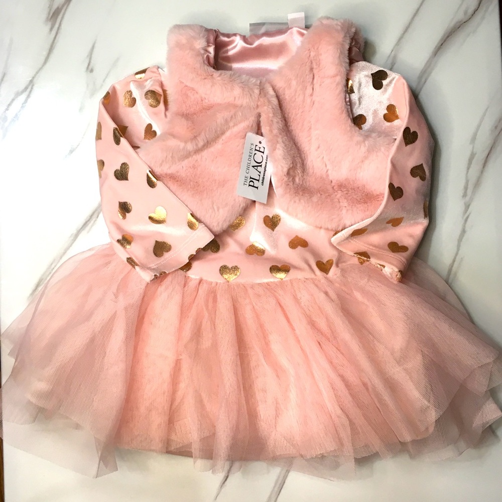 Pink Baby Girl Winter Dress